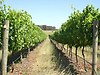 Wineries for sale